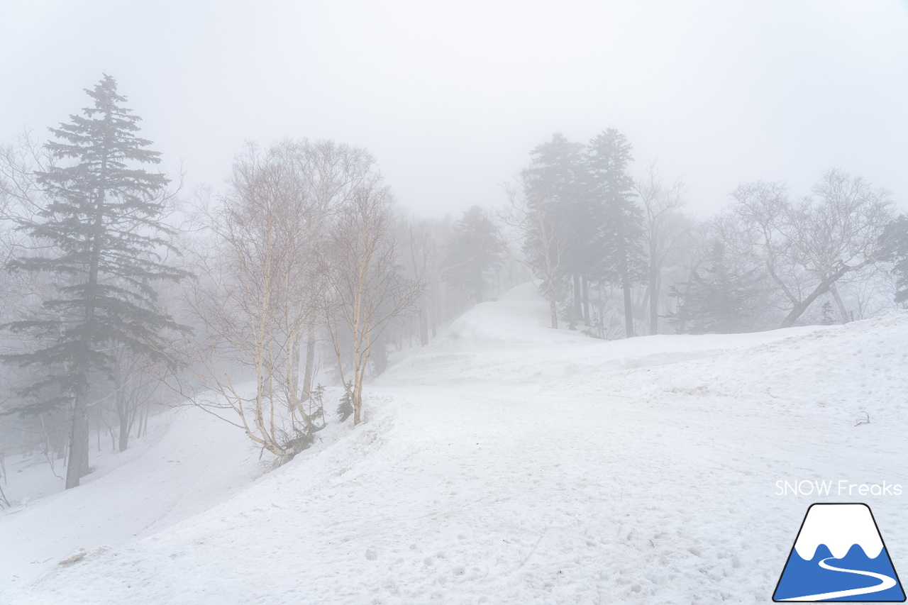 大雪山層雲峡・黒岳ロープウェイスキー場｜真っ白な『霧』に包まれた雲上のゲレンデ。春スキー＆スノーボードを楽しむなら、今がおススメです(^^)v